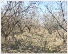  2025Ÿ181  ξȱ  긮 353-140      (1)