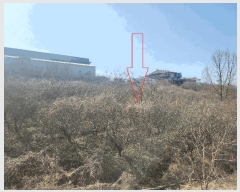  2025Ÿ181  ξȱ  긮 353-140      (1)