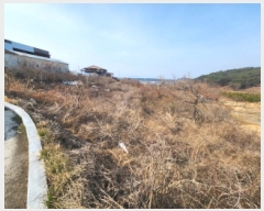  2025Ÿ181  ξȱ  긮 353-140      (1)