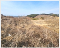  2025Ÿ181  ξȱ  긮 353-140      (1)