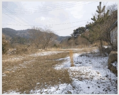  2025Ÿ188  â  縮 436-7      ,繫ǰ