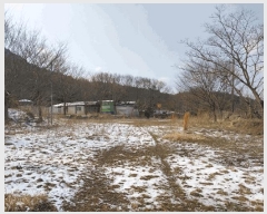  2025Ÿ188  â  縮 436-7      ,繫ǰ