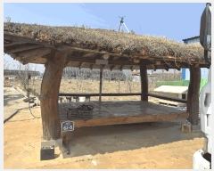  2025Ÿ��198 ���� ������ ����� ���� 590      ����(��)���