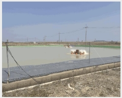  2025Ÿ��198 ���� ������ ����� ���� 590      ����(��)���