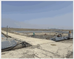  2025Ÿ��198 ���� ������ ����� ���� 590      ����(��)���