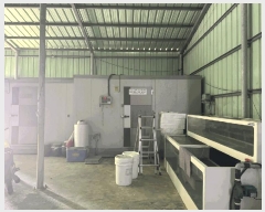  2025Ÿ��198 ���� ������ ����� ���� 590      ����(��)���