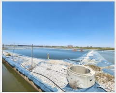  2025Ÿ��198 ���� ������ ����� ���� 590      ����(��)���