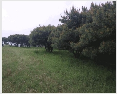  2025Ÿ��201  �Ӿ߰��