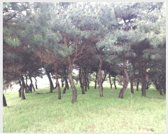  2025Ÿ��201  �Ӿ߰��