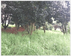  2025Ÿ��201  �Ӿ߰��