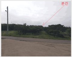  2025Ÿ��201  �Ӿ߰��