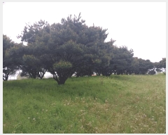  2025Ÿ��201  �Ӿ߰��