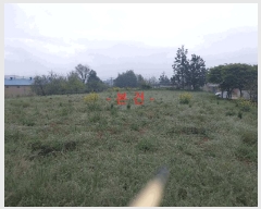  2025Ÿ��201  �Ӿ߰��