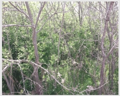  2025Ÿ221  ξȱ  Ÿ 254-3      ()