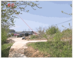  2025Ÿ221  ξȱ  Ÿ 254-3      ()