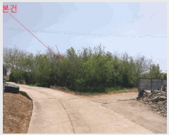  2025Ÿ221  ξȱ  Ÿ 254-3      ()