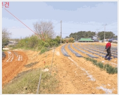  2025Ÿ221  ξȱ  Ÿ 254-3      ()