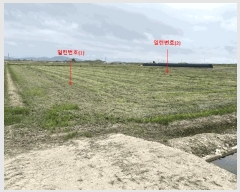  2025Ÿ234    ſ븮 733      ()