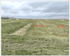  2025Ÿ234    ſ븮 733      ()