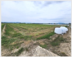  2025Ÿ234    ſ븮 733      ()