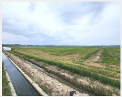  2025Ÿ234    ſ븮 733      ()