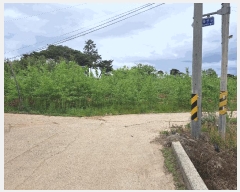  2025Ÿ237  â ƻ 긮 318-1      ()