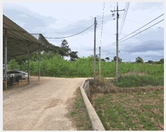  2025Ÿ237  â ƻ 긮 318-1      ()