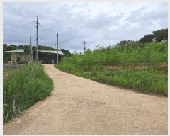  2025Ÿ237  â ƻ 긮 318-1      ()