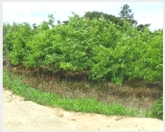  2025Ÿ237  â ƻ 긮 318-1      ()