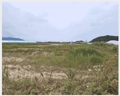  2025Ÿ��248  �Ӿ߰��