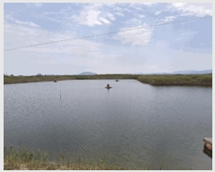  2025Ÿ��248  �Ӿ߰��