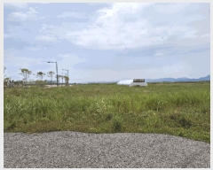  2025Ÿ��248  �Ӿ߰��