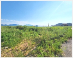  2025Ÿ��248  �Ӿ߰��