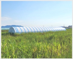  2025Ÿ��248  �Ӿ߰��