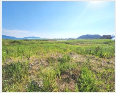  2025Ÿ��248  �Ӿ߰��