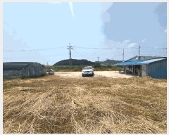  2025Ÿ��255 ���� �ξȱ� ������ ������ 265-12      ����(�Ӿ�)���