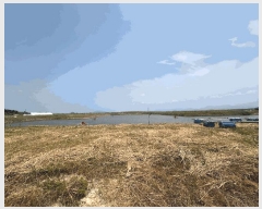  2025Ÿ��255 ���� �ξȱ� ������ ������ 265-12      ����(�Ӿ�)���