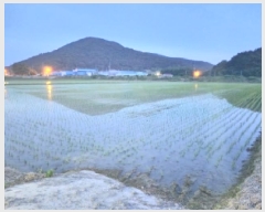  2025Ÿ��257  ����