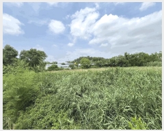  2025Ÿ��265  �����