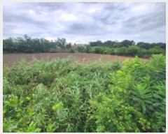  2025Ÿ��265  �����