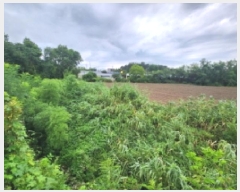  2025Ÿ��265  �����