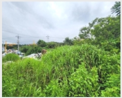  2025Ÿ��265  �����