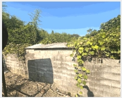  2025Ÿ��271 ���� �ξȱ� ��ȸ� ���� 556      ���ð��