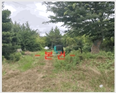  2025Ÿ��285 ���� ������ �Ҽ��� ��踮 300      ����(��1)���