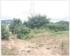  2025Ÿ��285 ���� ������ �Ҽ��� ��踮 300      ����(��1)���