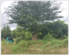  2025Ÿ��285 ���� ������ �Ҽ��� ��踮 300      ����(��1)���