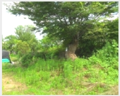  2025Ÿ��285 ���� ������ �Ҽ��� ��踮 300      ����(��1)���