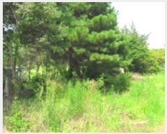  2025Ÿ��285 ���� ������ �Ҽ��� ��踮 300      ����(��1)���