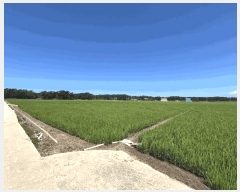  2025Ÿ��290 ���� ��â�� ���ϸ� ������ 1711      ����(��)���