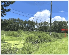  2025Ÿ��290 ���� ��â�� ���ϸ� ������ 1711      ����(��)���